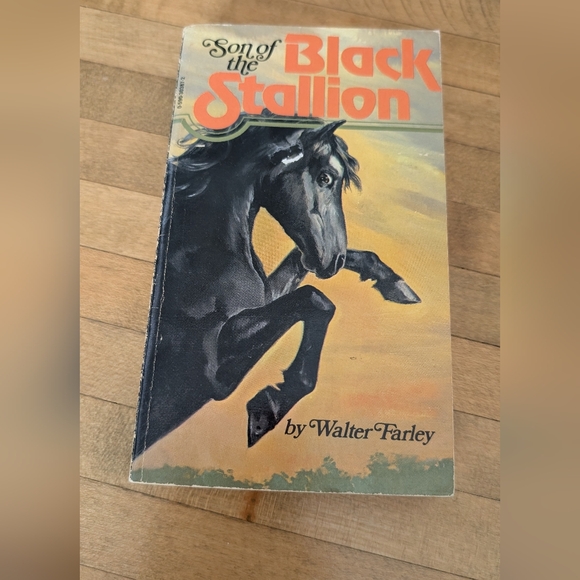 The Black Stallion Book Collection - Picture 3 of 14